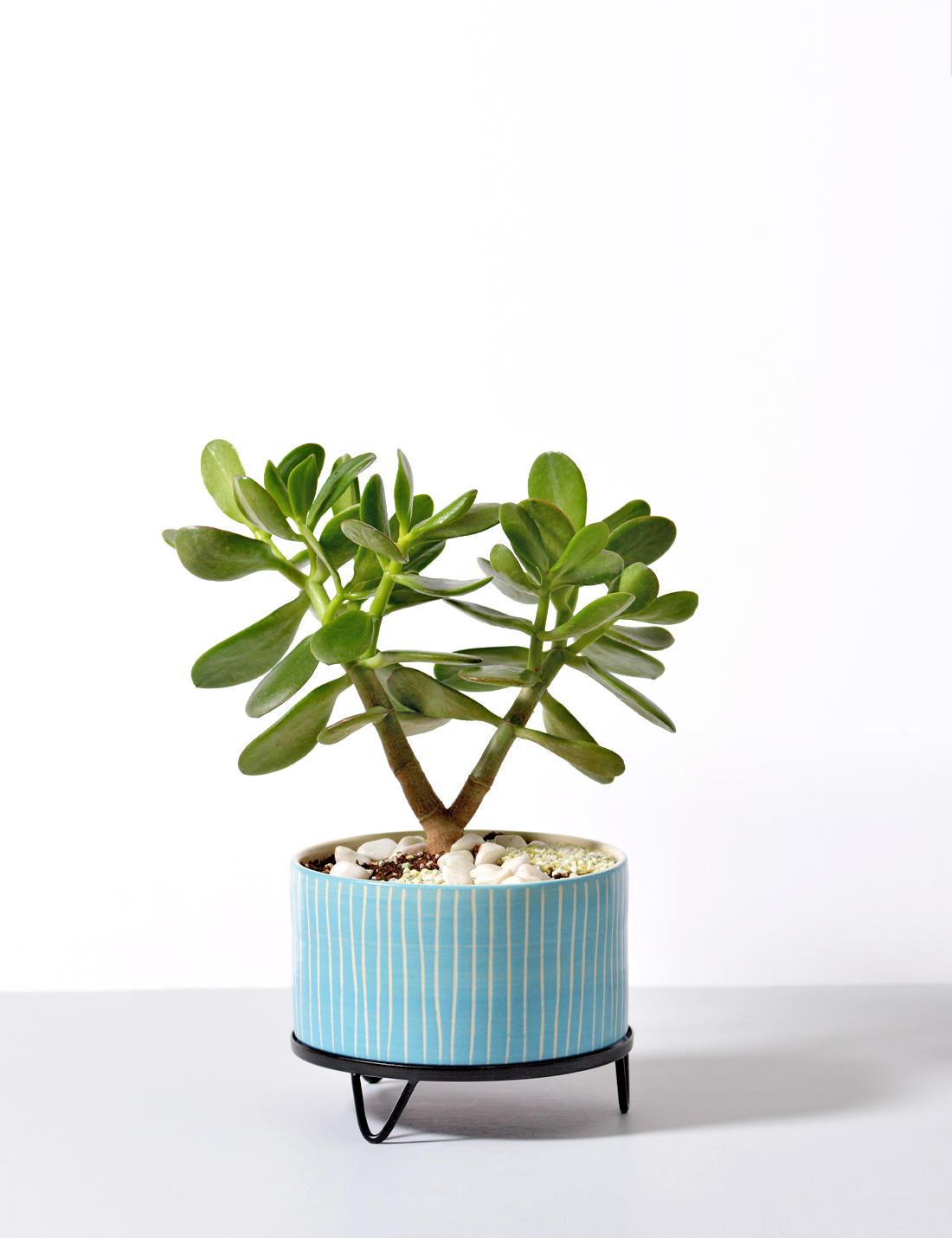 handmade Ceramic pot Blue