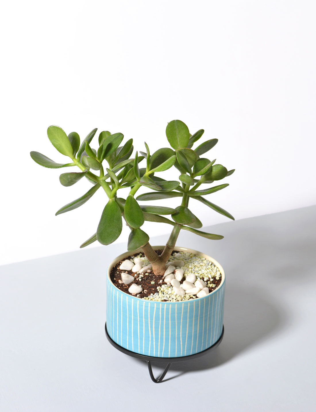 handmade Ceramic pot  Blue