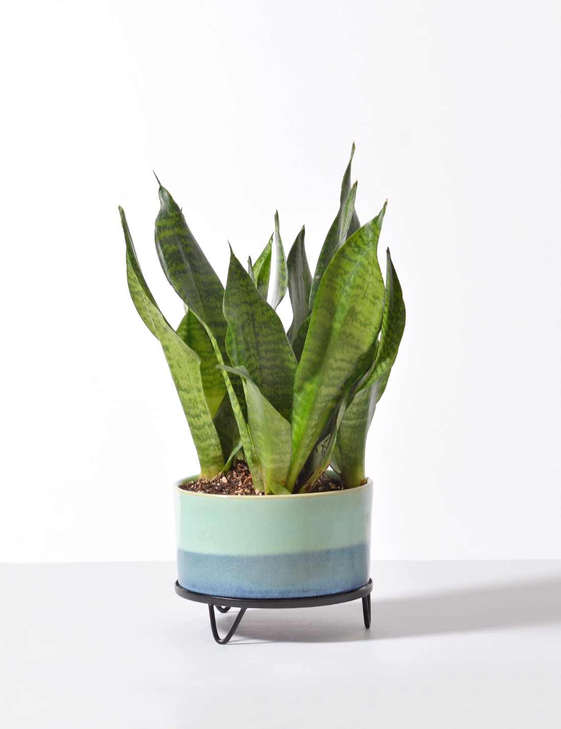 Ombre Effect Handmade Ceramic Pot