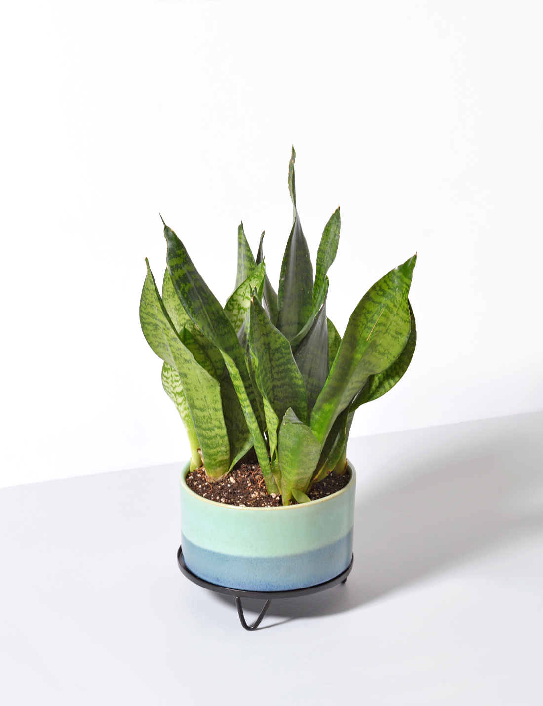 Handmade Ceramic Pot