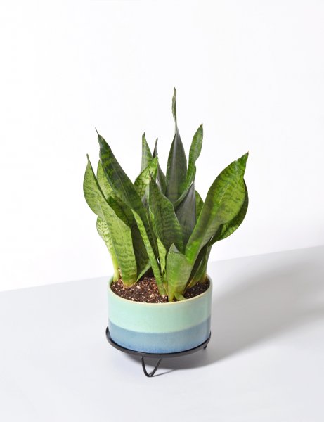 Image of River - Ombre Handmade Ceramic Pot / Blue - Green