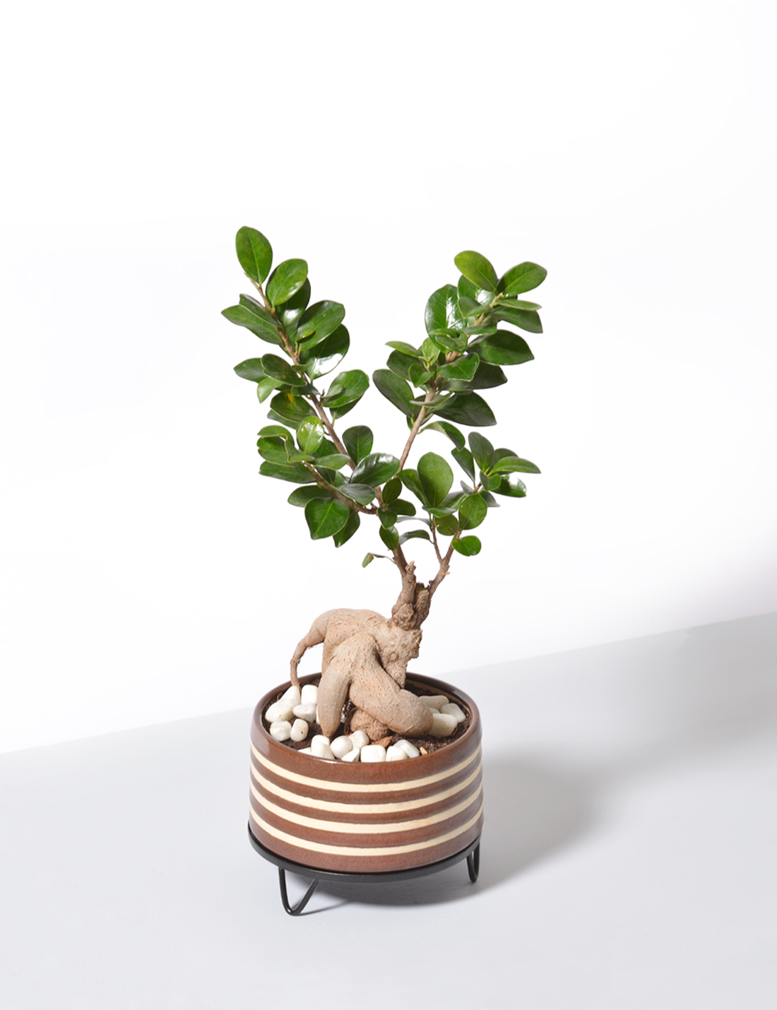 Handmade Ceramic Pot