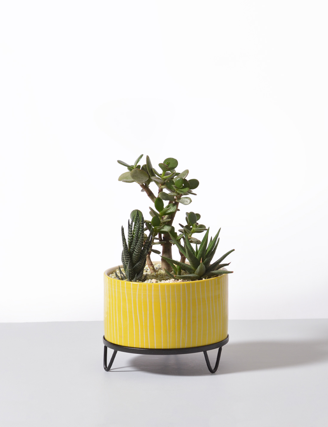Calvin - handmade Ceramic pot Pop Yellow