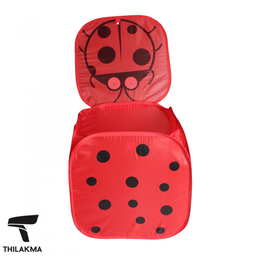 Collapsible Storage Box