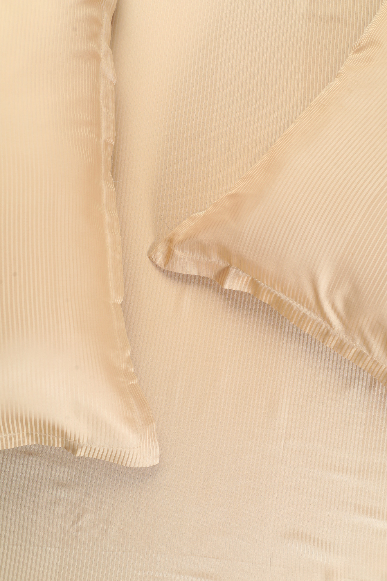 Bamboo breeze - Sunset