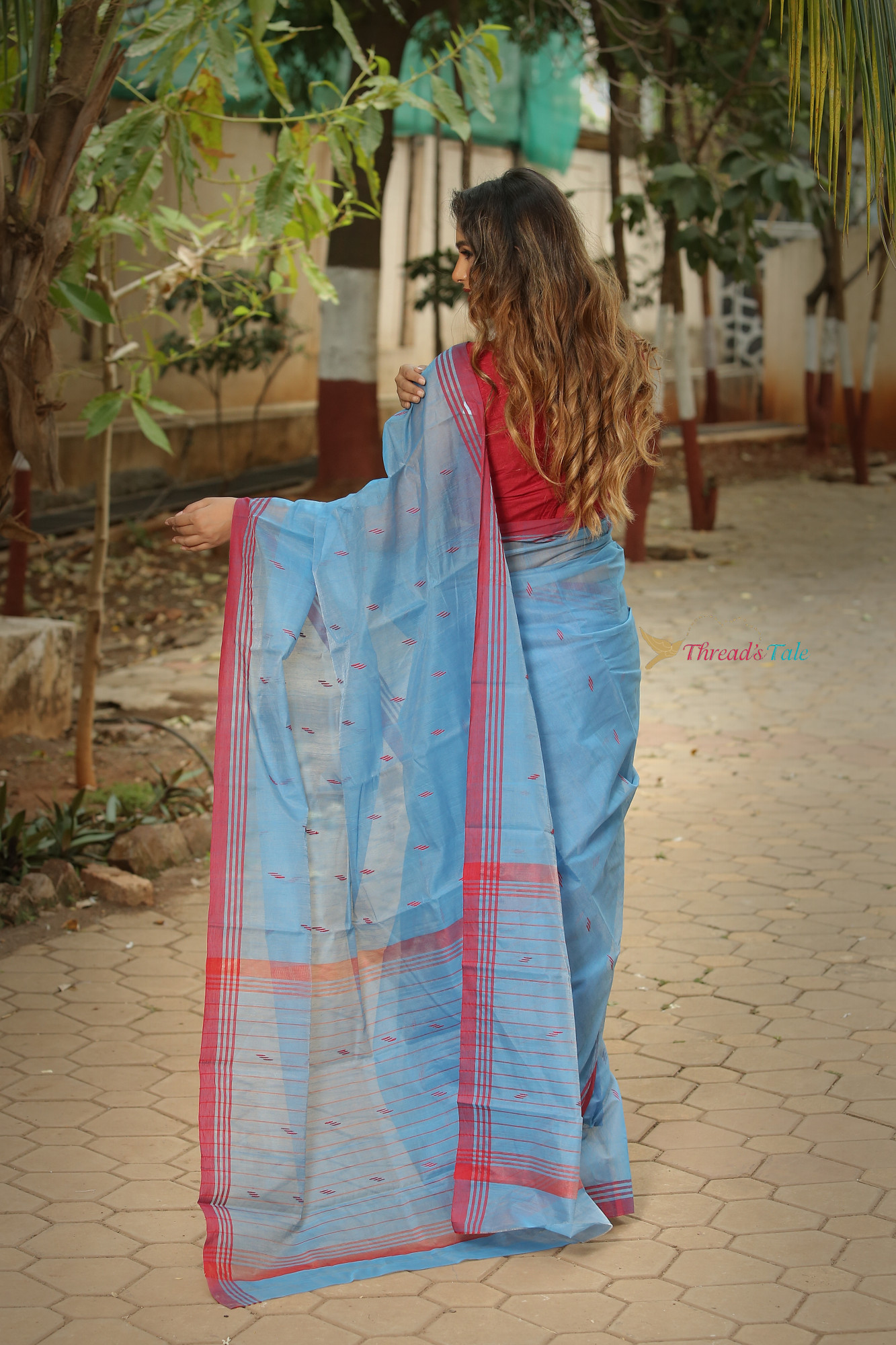 Sky Blue Handwoven Cotton Chanderi Saree