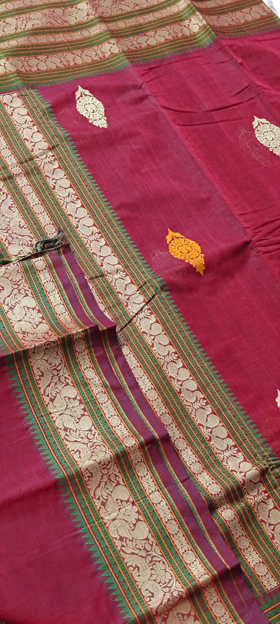 Kanchi Cotton Saree