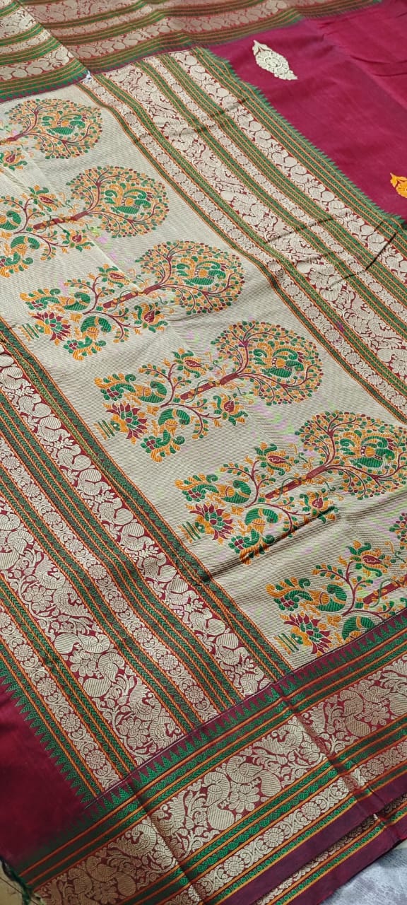 Kanchi Cotton Saree