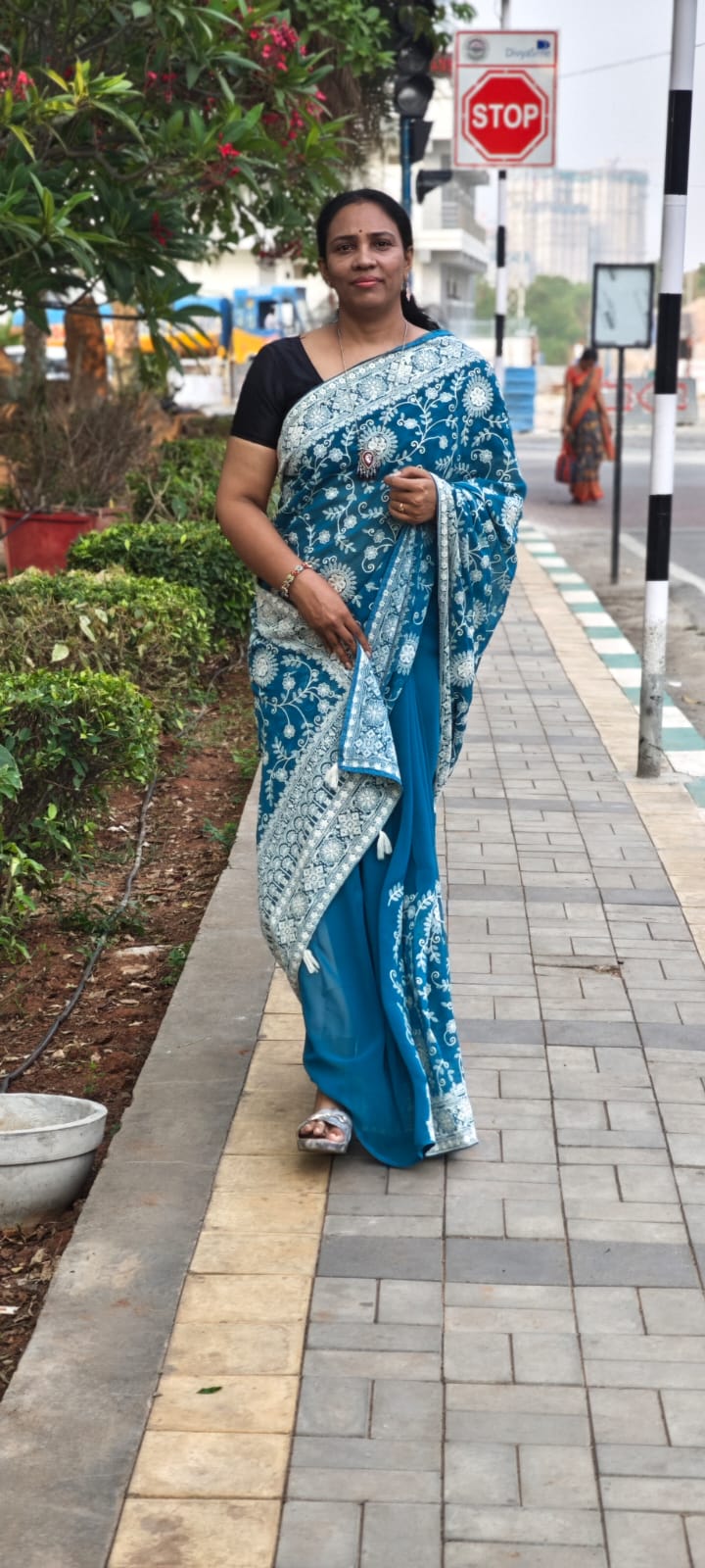 Blue Hand - embroidery chikankari half jaal saree