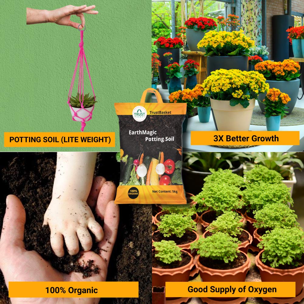 EcoGrow Premium Organic Potting Soil Mix – Enriched with Fertilizers, 20 KG