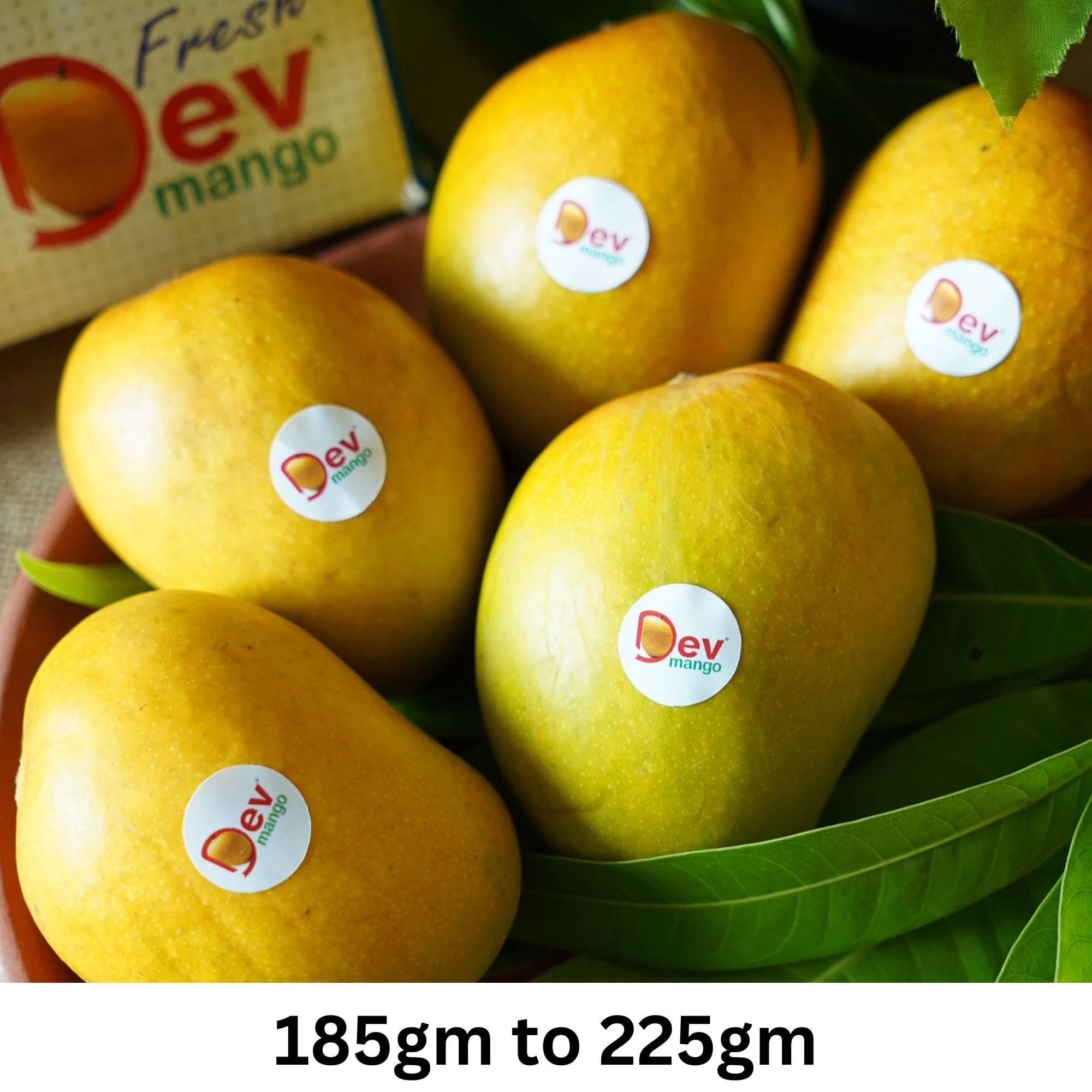 Alphonso A Mango