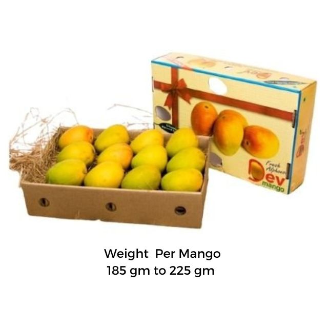 Alphonso A Mango