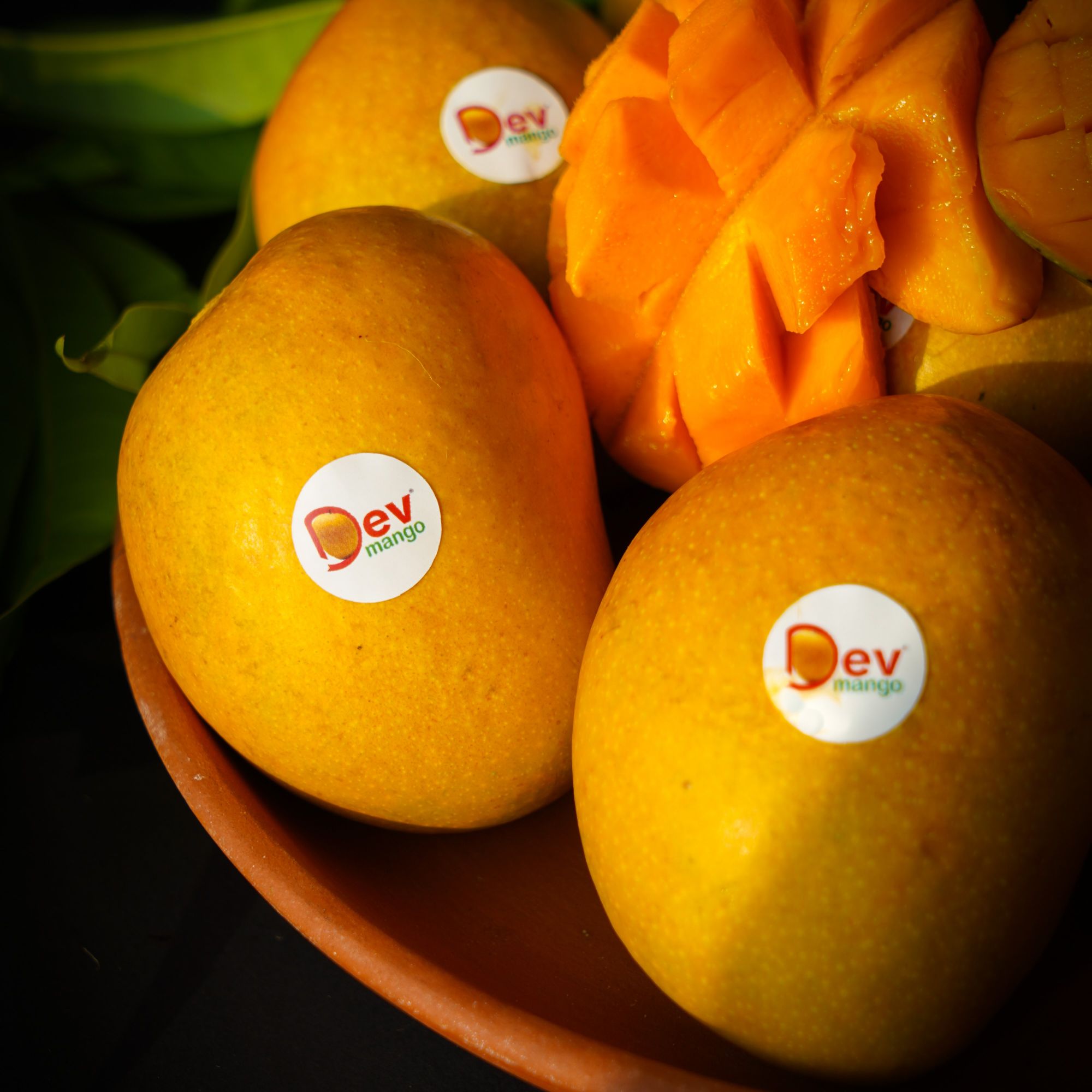 Alphonso AA Mango
