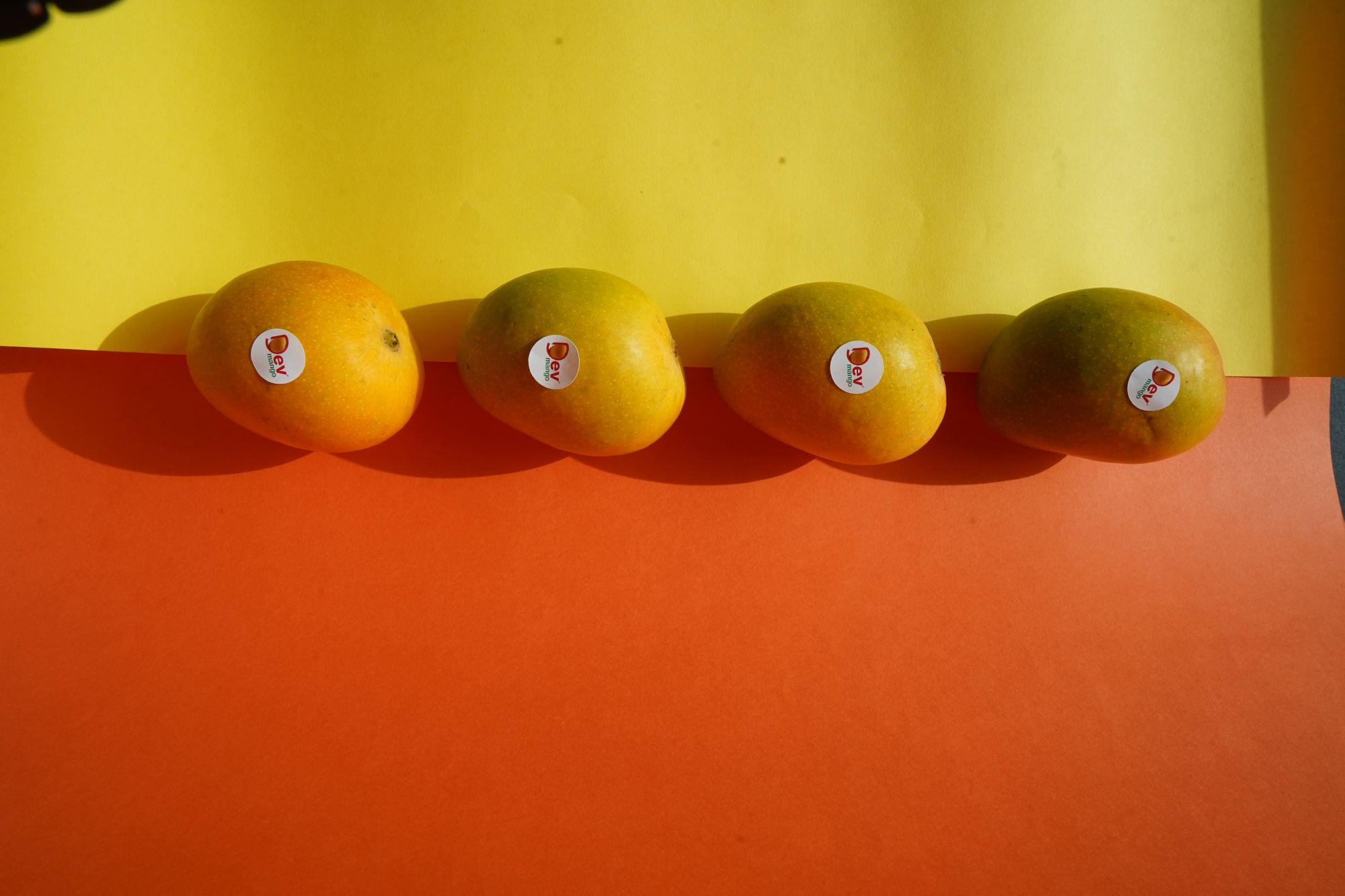 15 Pieces