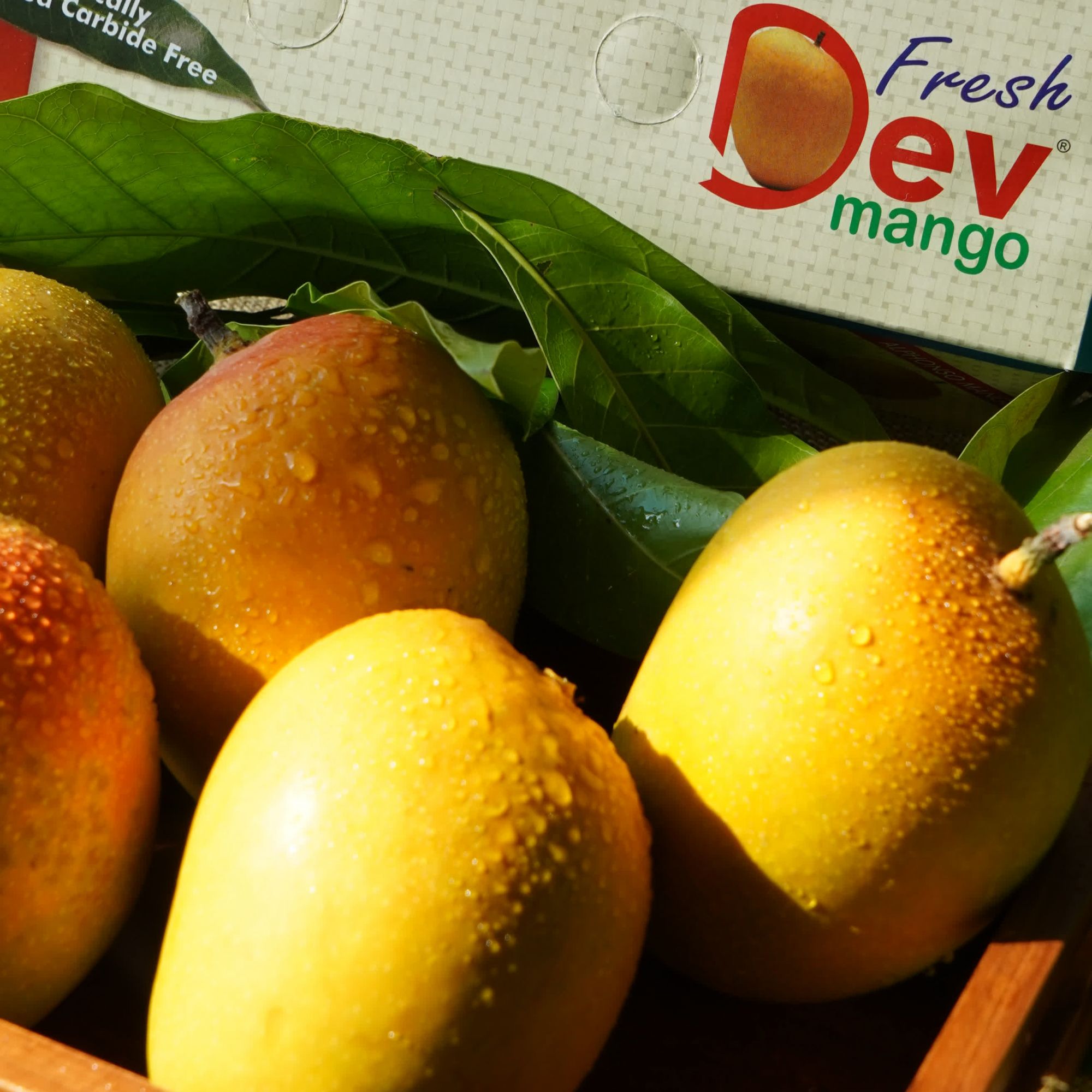 Alphonso AAA 3 Pieces Mango