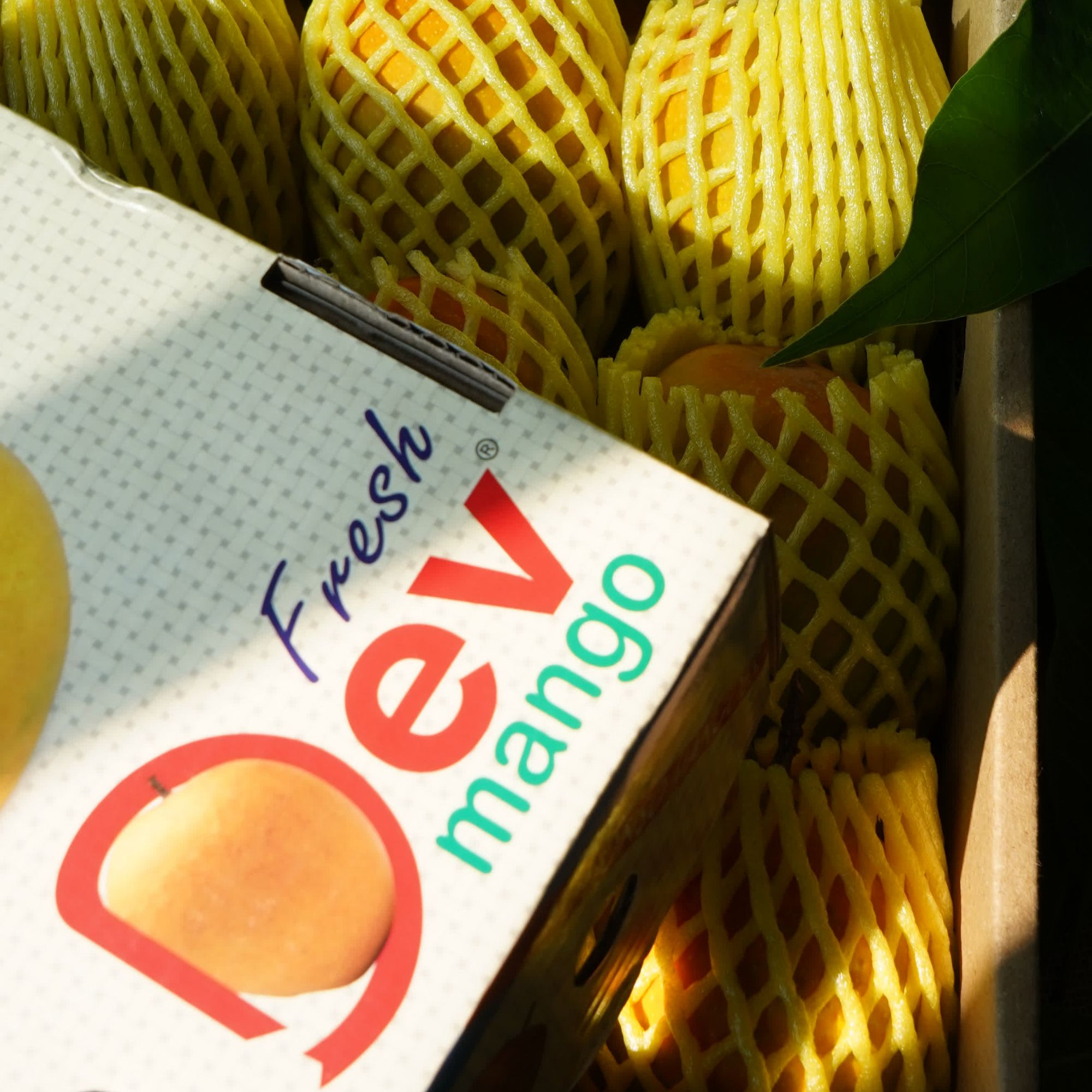 Alphonso AA 3 Pieces Mango