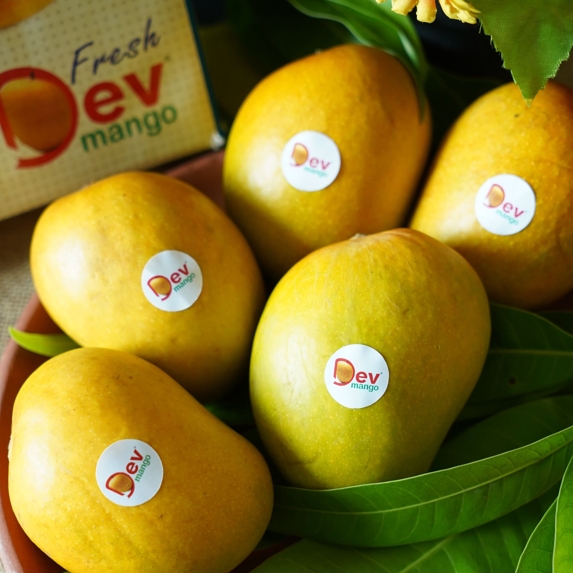 Alphonso AAA 3 Pieces Mango