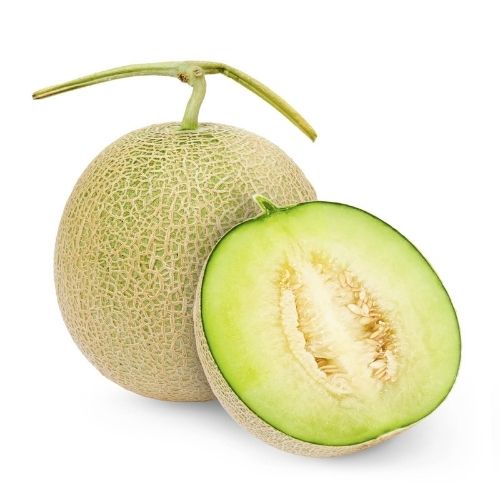 japan melon