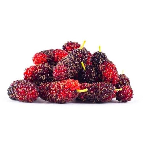 Mulberry