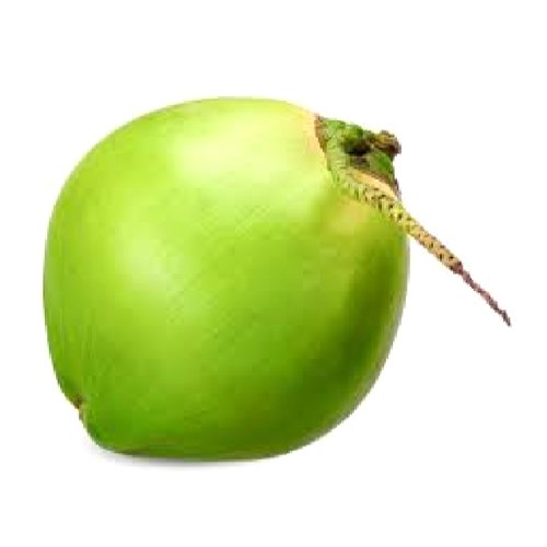 tender coconut