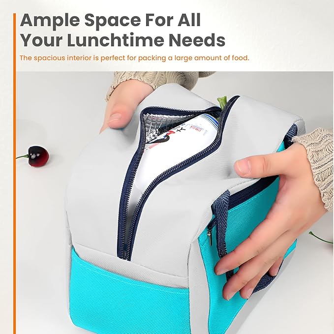 WALSON Insulated Lunch Bag  Leakproof Thermal Tiffin Tote for Men Women  Kids