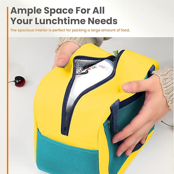 WALSON Insulated Lunch Bag Leakproof Thermal Tiffin Tote for Men Women Kids