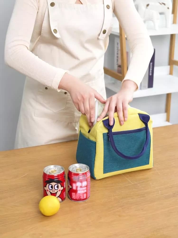 WALSON Insulated Lunch Bag Leakproof Thermal Tiffin Tote for Men Women Kids