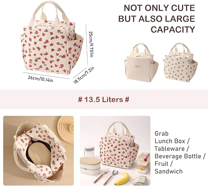 WALSON Insulated Lunch Bag Leakproof Thermal Tiffin Tote for Men Women Kids
